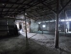 photo_low258603