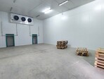 photo_low258641