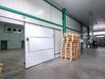 photo_low258642