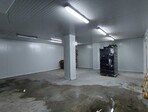 photo_low258646
