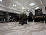 photo_low259023