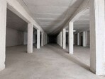 photo_low259220