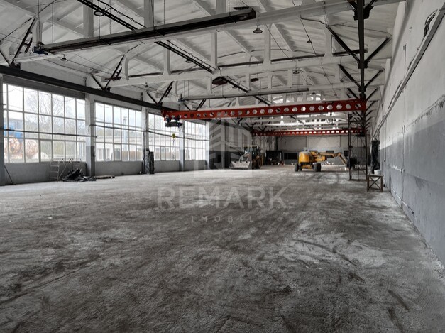 photo236638