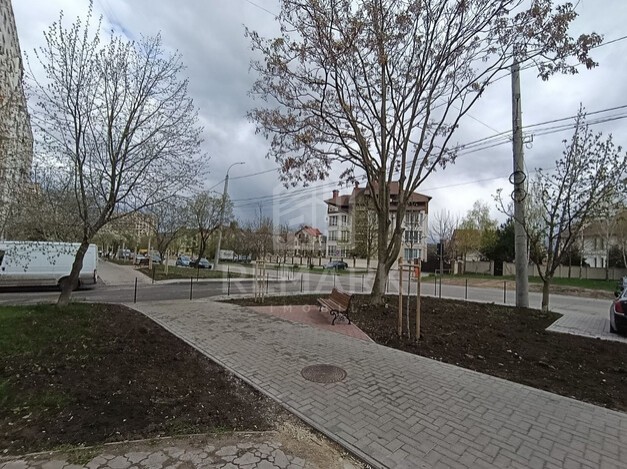 photo254135