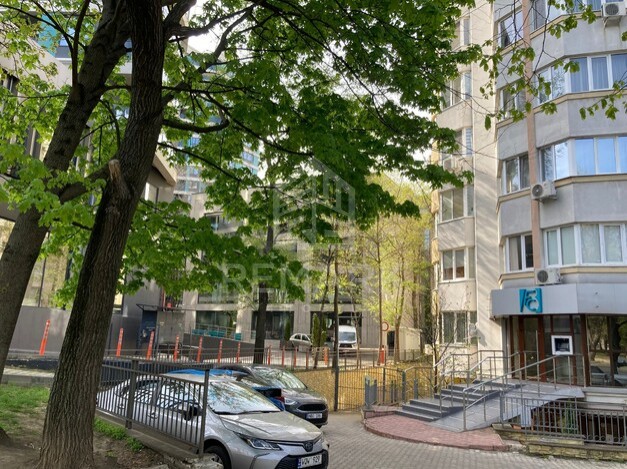 photo254372