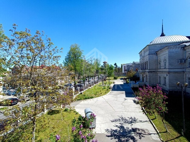 photo254563