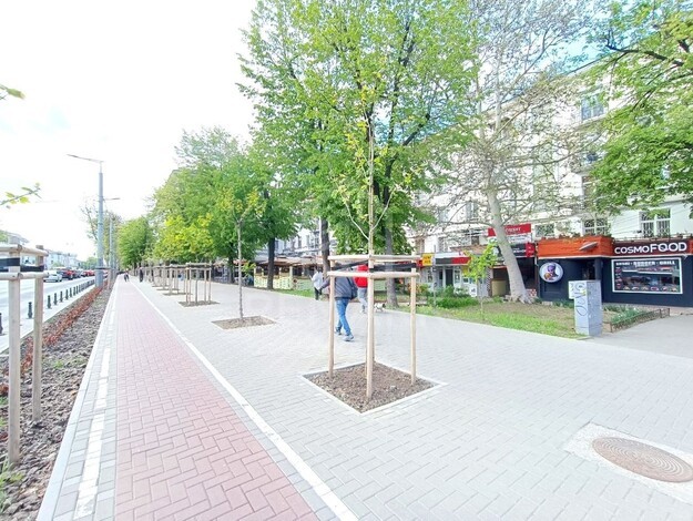 photo254575