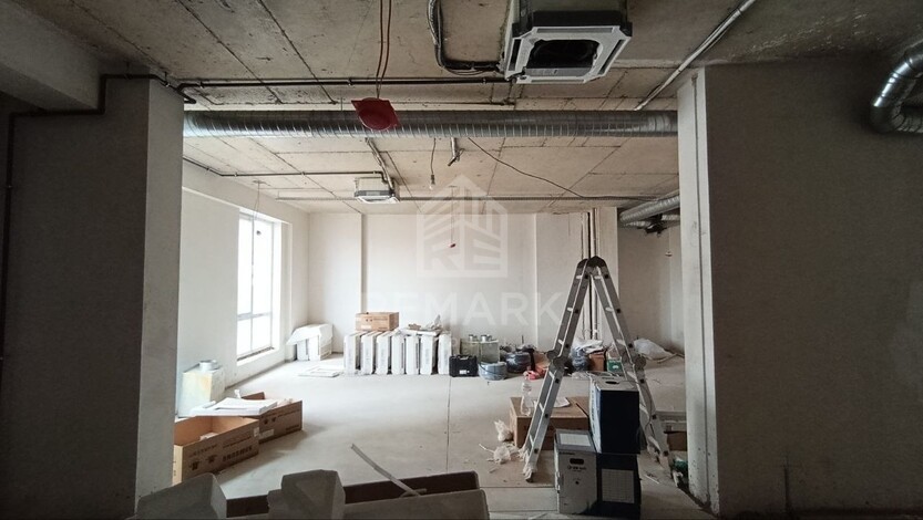 photo254618