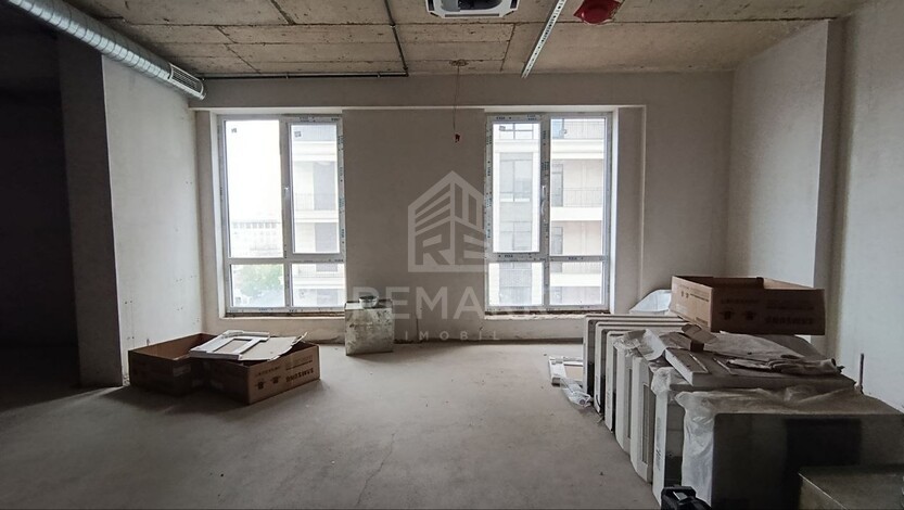photo254666