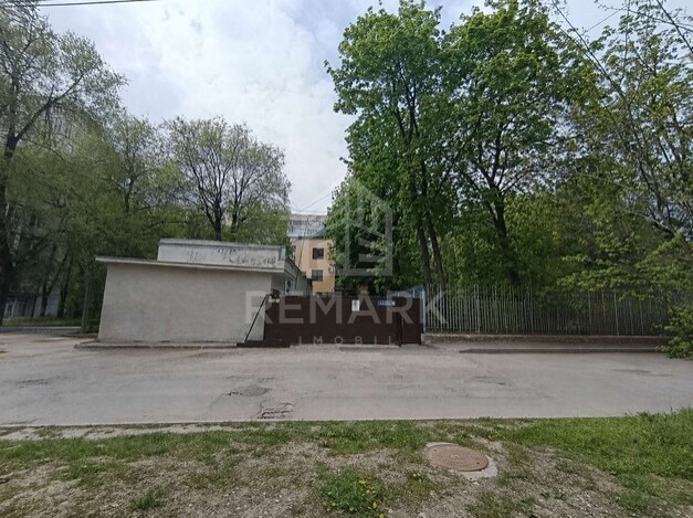 photo254684