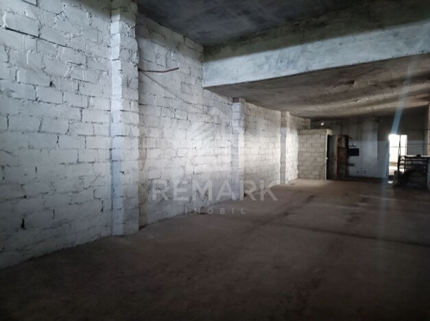 photo254750