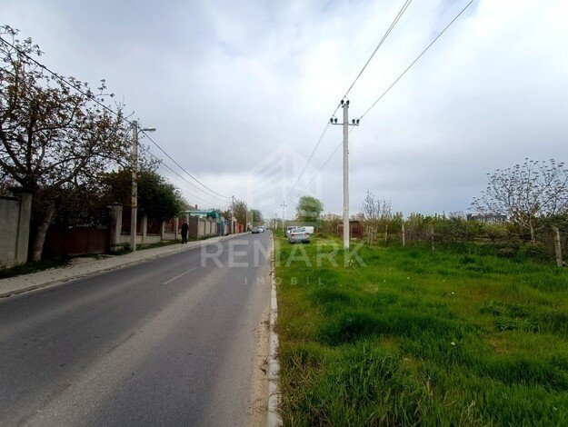 photo254758