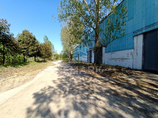 photo254760