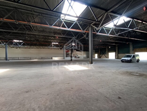 photo254763