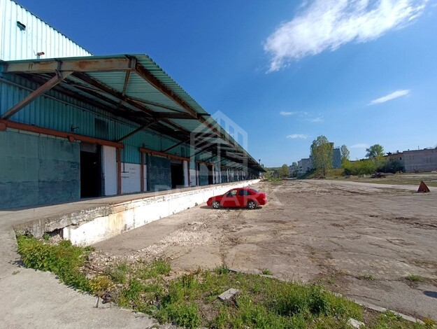 photo254762