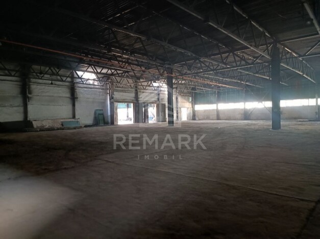 photo254769
