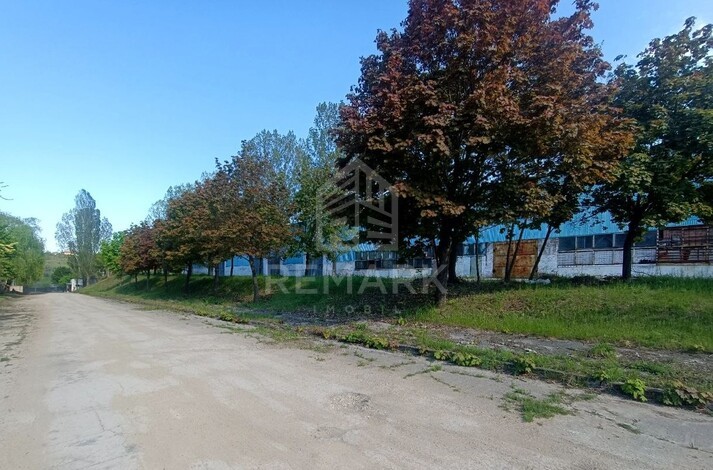 photo254969
