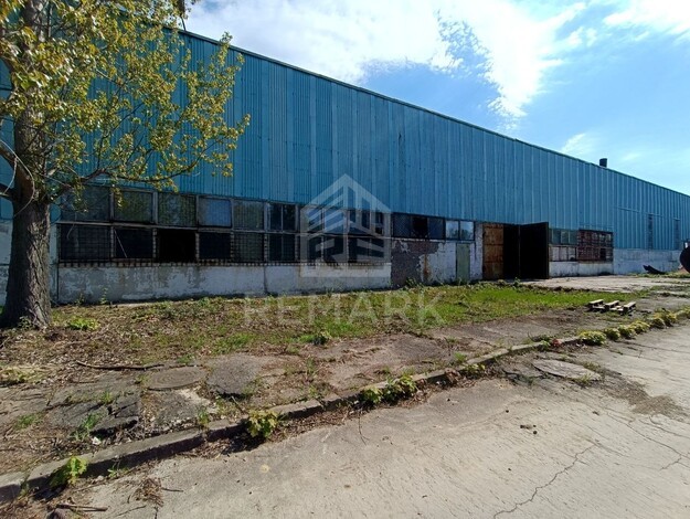 photo254972