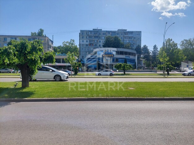 photo255255