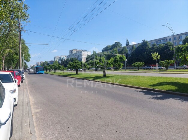 photo255256
