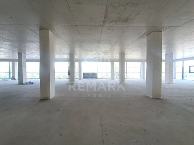 photo255270