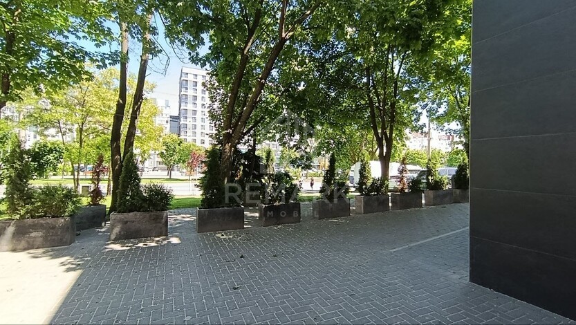 photo255395