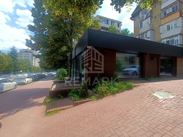 photo255697