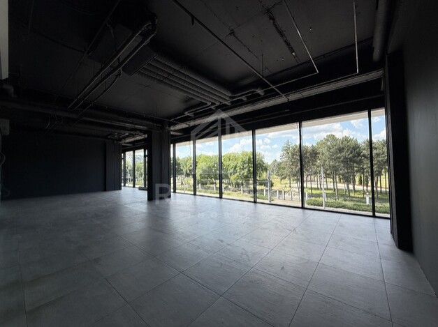 photo255833