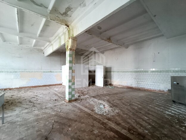 photo256204