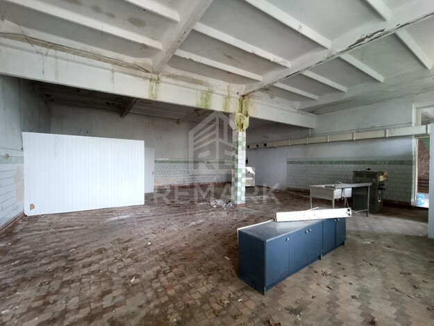 photo256205