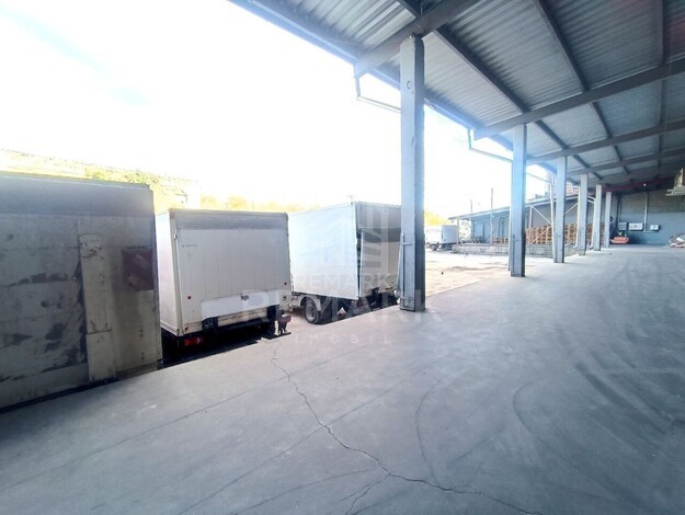 photo256225