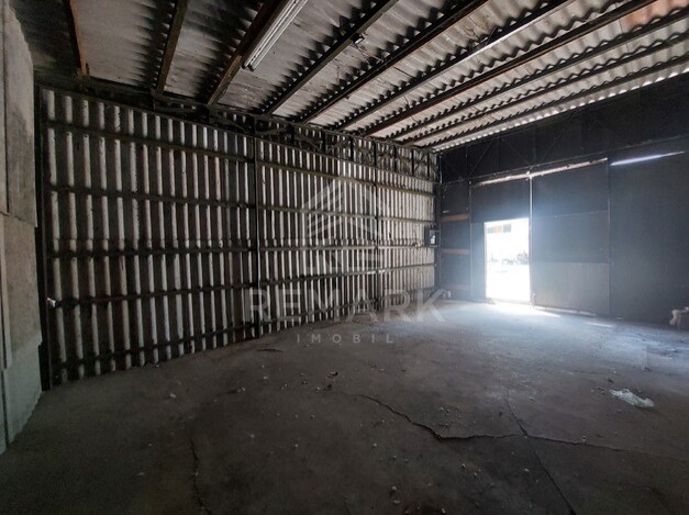 photo256338