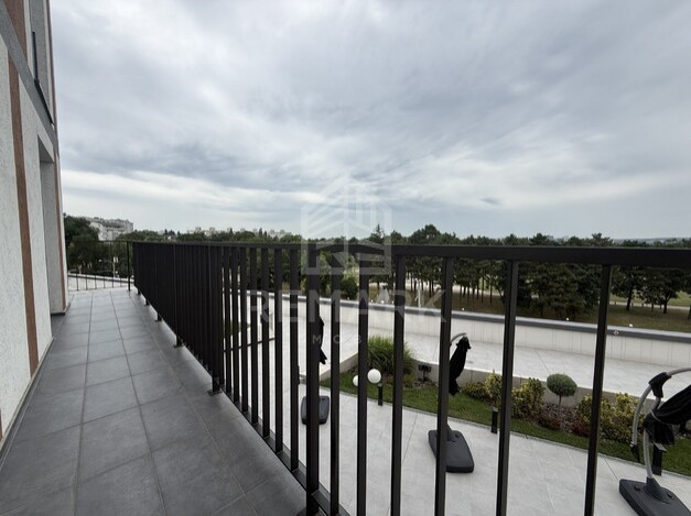 photo256469