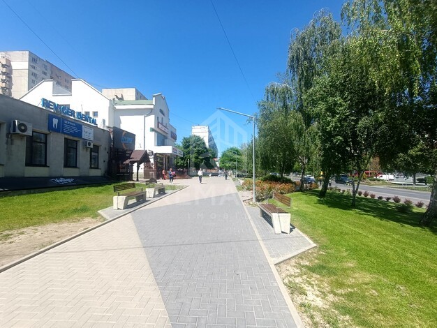 photo256539