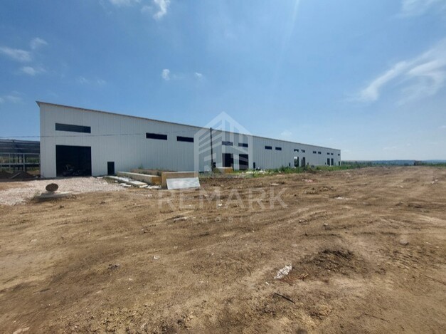 photo256732