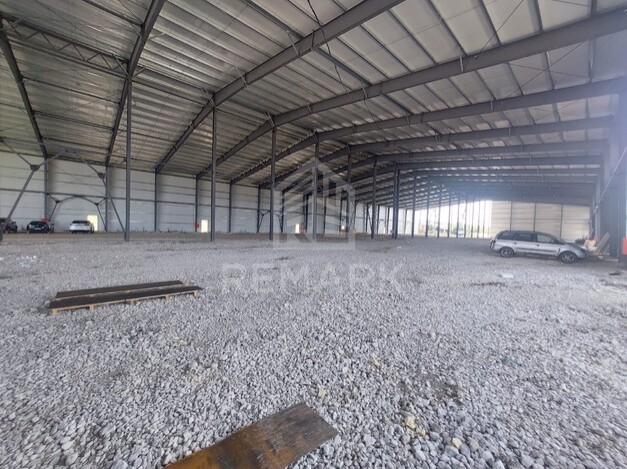 photo256728