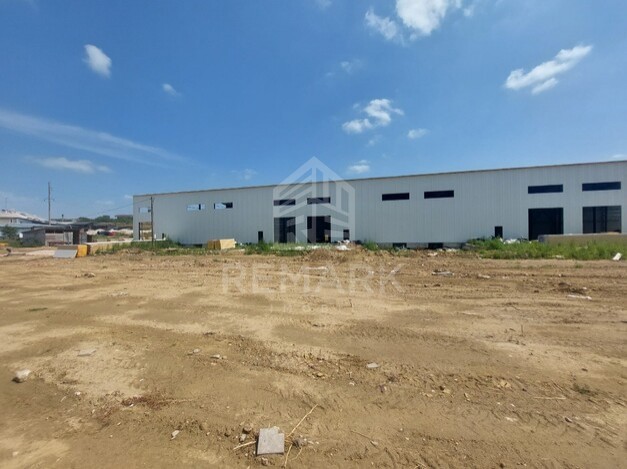 photo256733