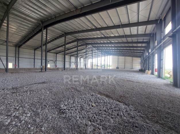photo256731