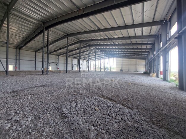 photo256984