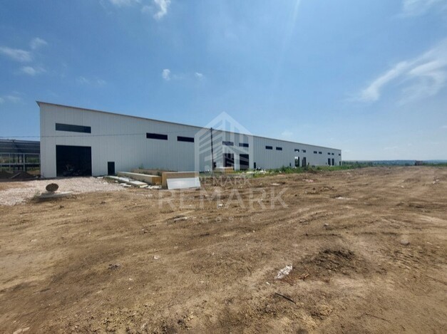 photo256985