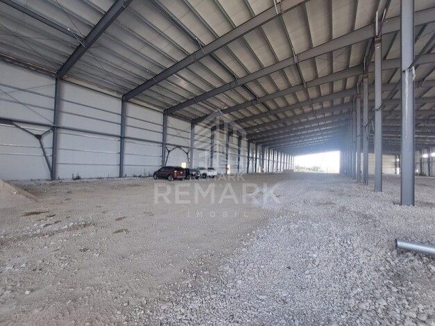 photo256989