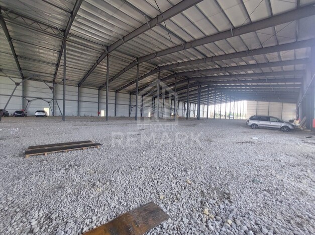 photo256997