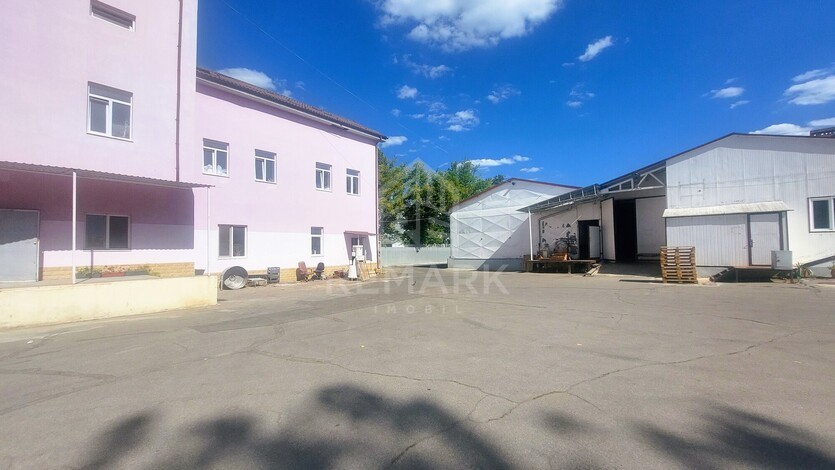 photo257444