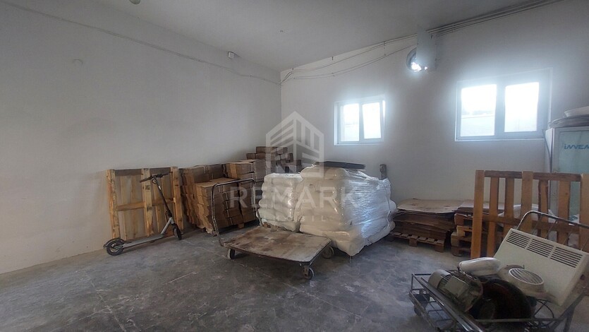photo257447
