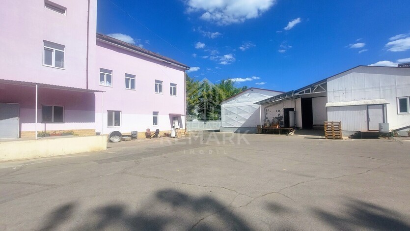 photo257452