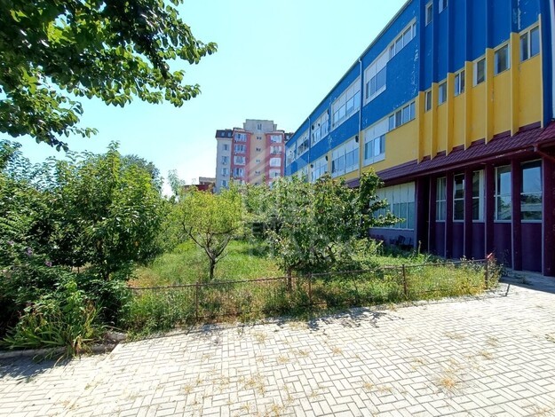photo257504