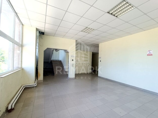 photo257509