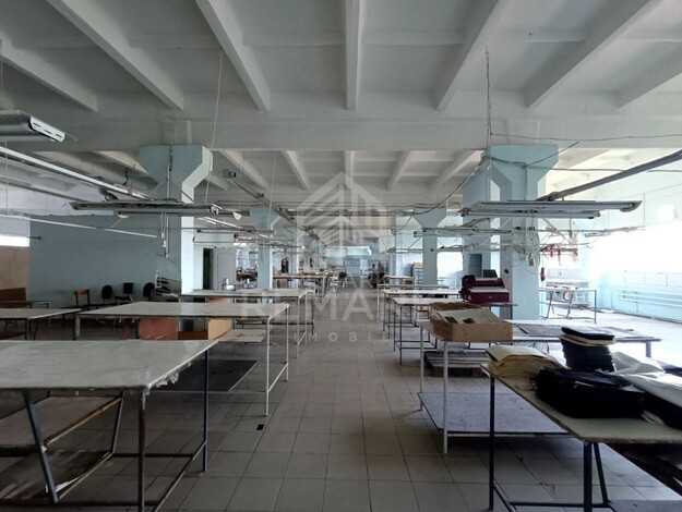 photo257510