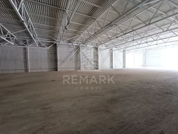 photo257524