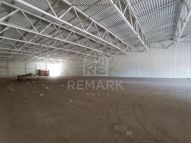 photo257520
